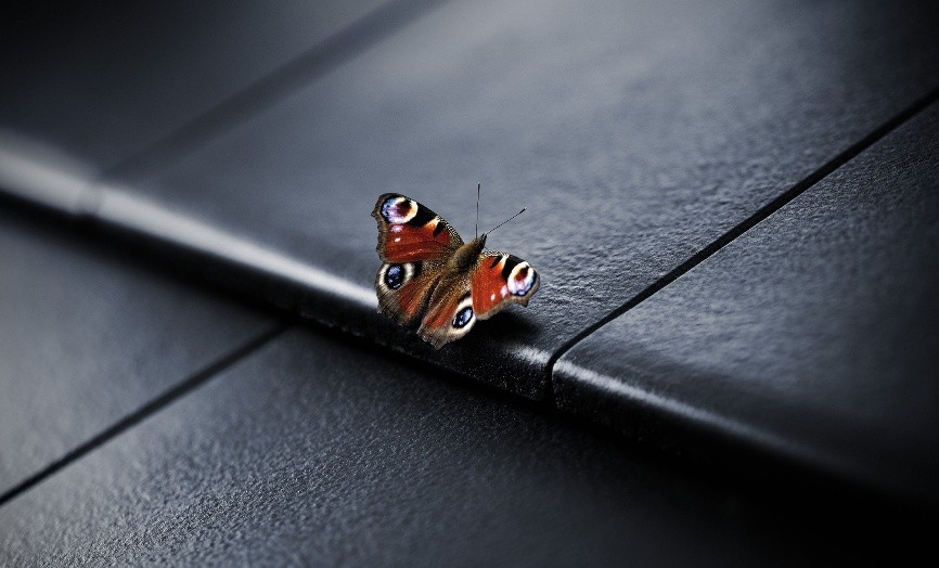 Schmetterling sitzt auf dunkler Dachziegel